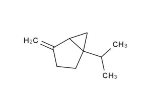 Sabinene Terpene isolate image 1