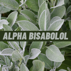 Alpha-bisabolol Terpene isolate image 0