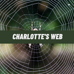 Charlottes ** image 0