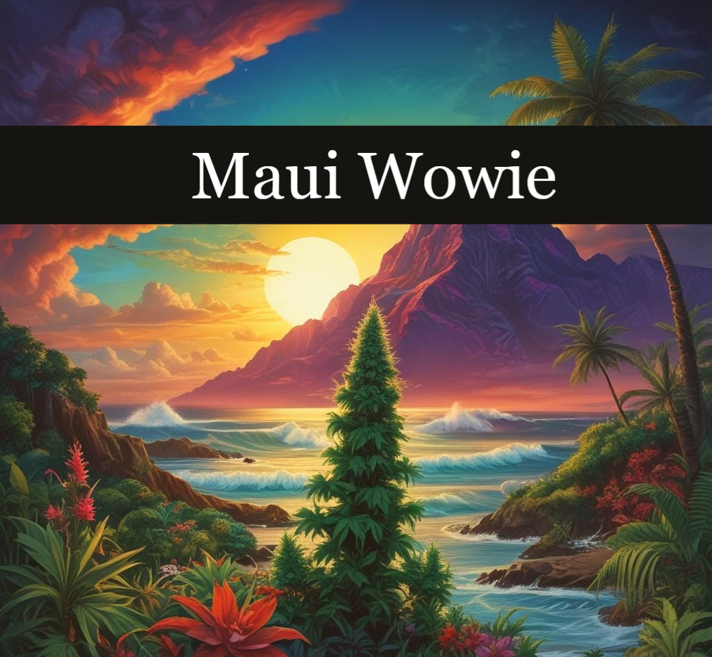Mowie Wowie terpenes - Terp Topia strain-specific terpenes